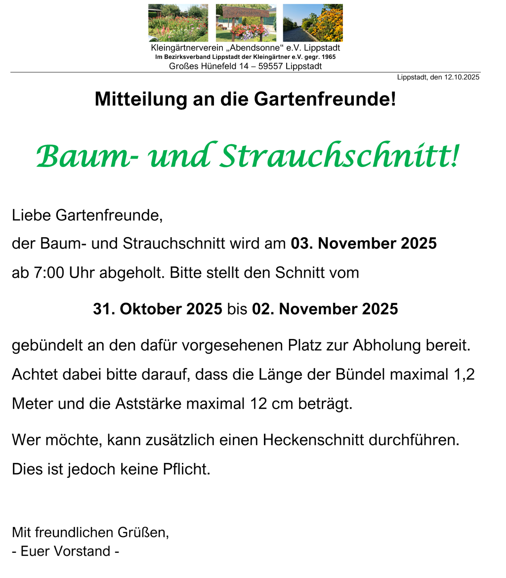Baum- und Strauchschnitt am 03.11.2025