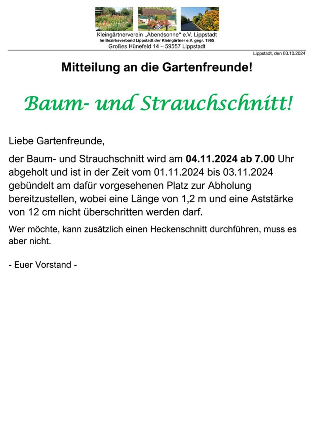 Baum- und Strauchschnitt am 04.11.2024
