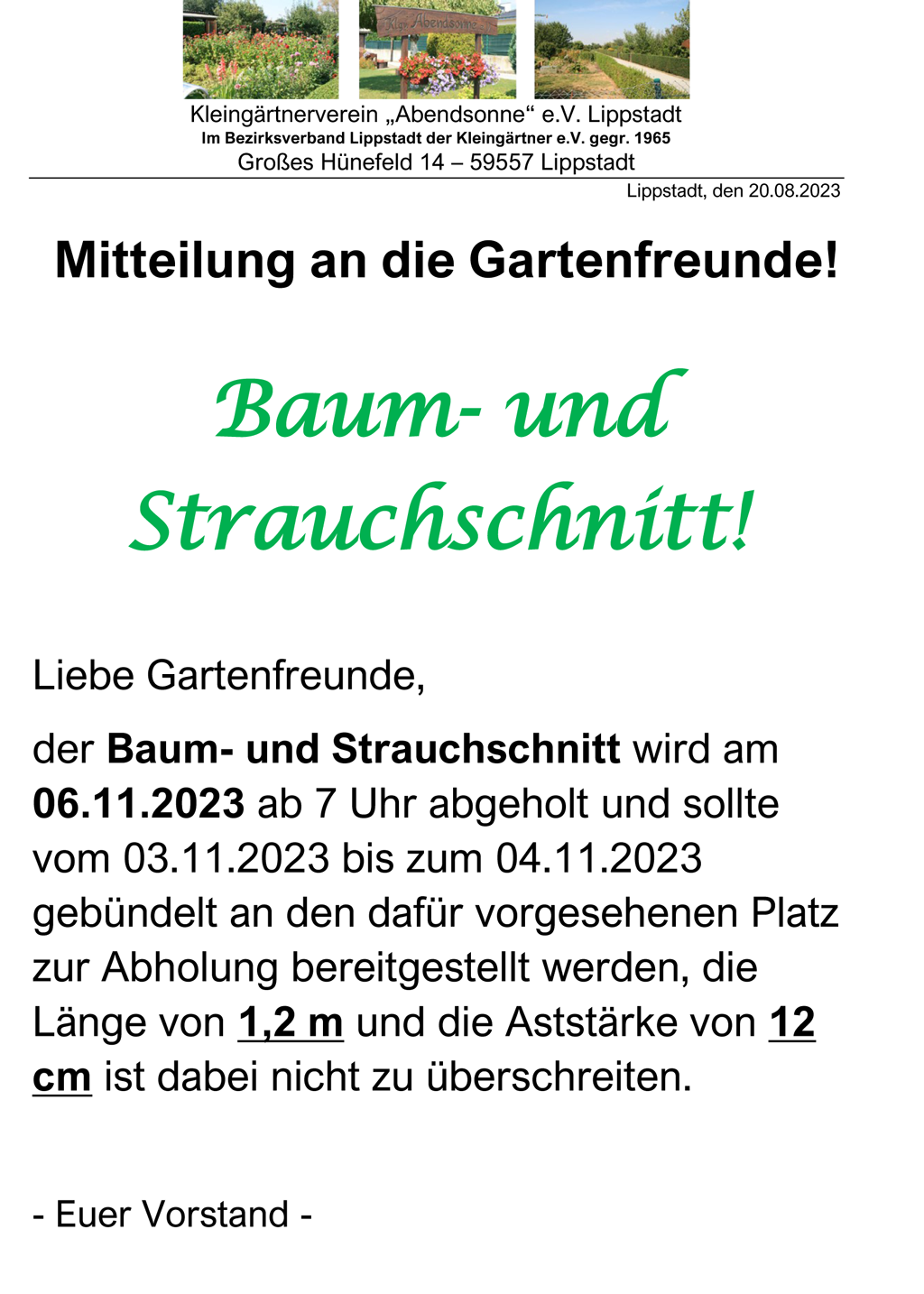 Baum- und Strauchschnitt am 06.11.23