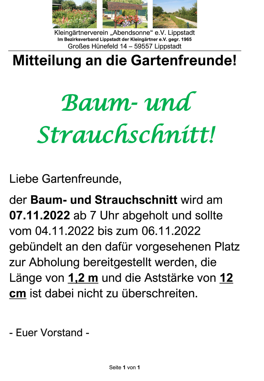 Baum- und Strauchschnitt vom 07.11.2022 – 07.11.2022