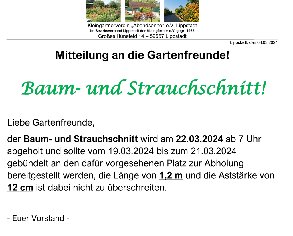 Baum- und Strauchschnitt am 21.03.2024